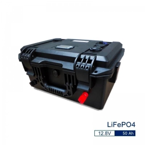 Аккумулятор LiFePo4 12В 50Ач, ток 60А, в защитном кейсе с зарядным устройством