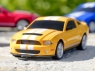 Р/У машина 1:24 Ford Mustang