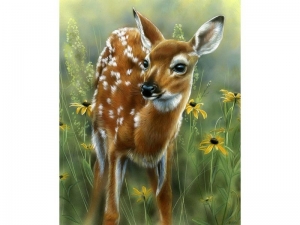 Картина по номерам с цветной схемой на холсте 30х40 Олененок (22 цветов)