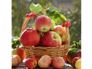 Картина по номерам 30х30 Аромат осени (22 цвета)