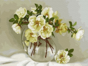 Картина по номерам 40х50 Бузин. Белые розочки (24 цвета)