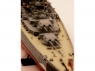Сборная модель ZVEZDA Немецкий линкор "Бисмарк", 1/400