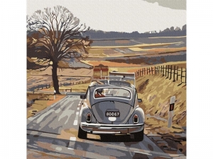 Картина по номерам 30х30 ФОЛЬКСВАГЕН ЖУК (18 цветов)