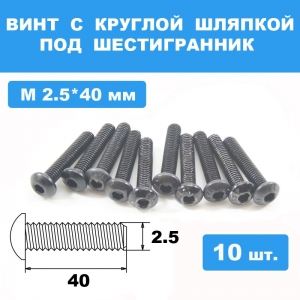Винты М2.5*40мм (10шт) с круглой шляпкой под шестигранник