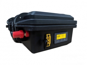 Аккумулятор LifeРo4 12v 48Ah «Ресурс-48» в защитном кейсе