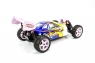 1:10 EP 4WD Off Road Buggy (Brushed, Ni-Mh)