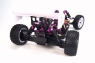 1:10 EP 4WD Off Road Buggy (Brushed, Ni-Mh)