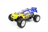 1:10 EP 4WD Off Road Truggy (Brushed, Ni-Mh)